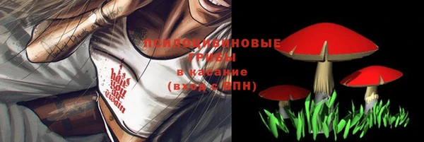 трава Приозерск