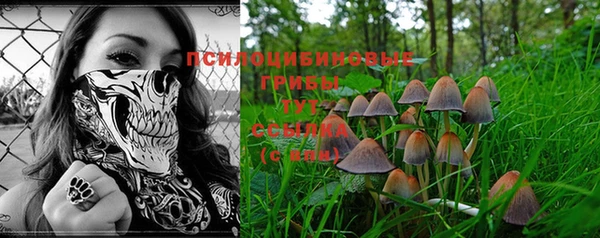 бутират Пролетарск